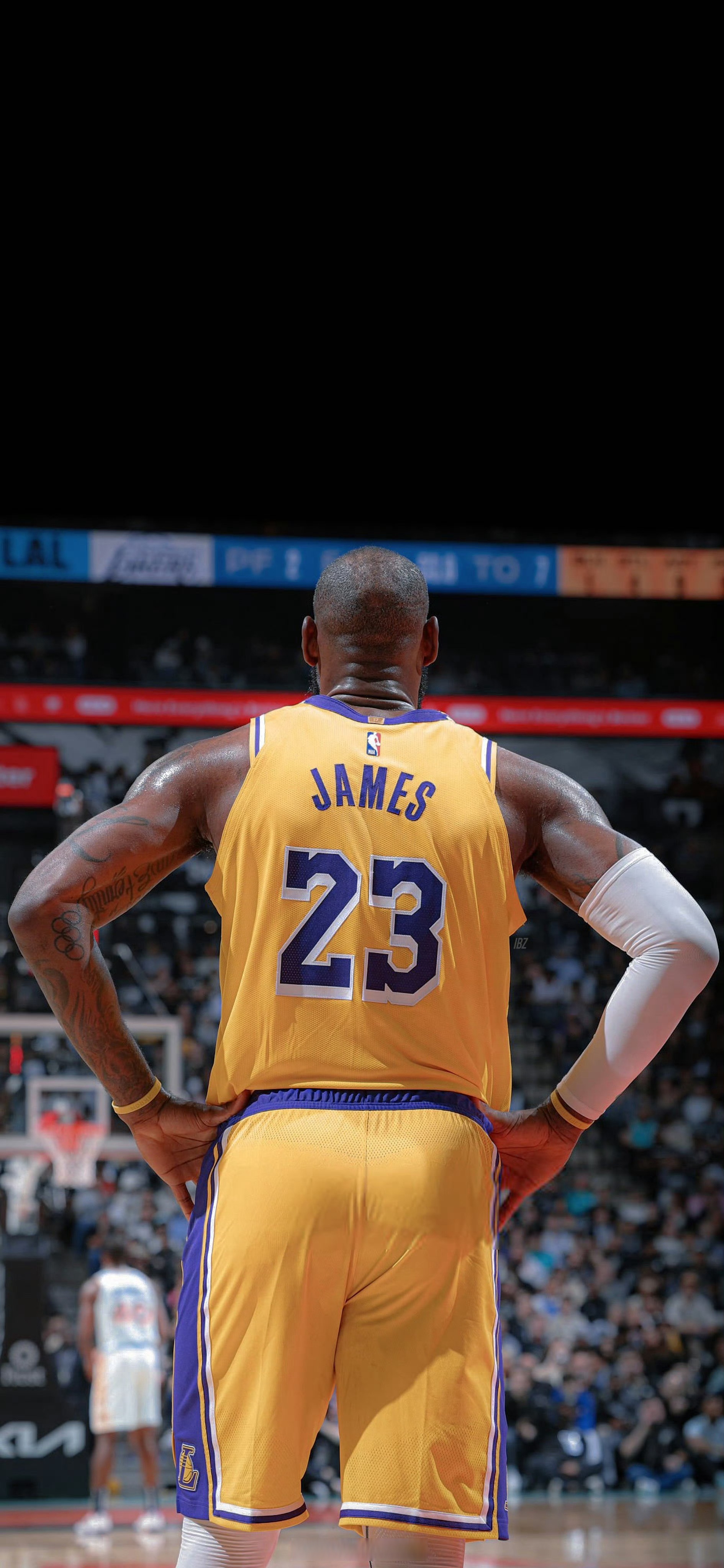 湖人横扫黄蜂，布克打破历史纪录