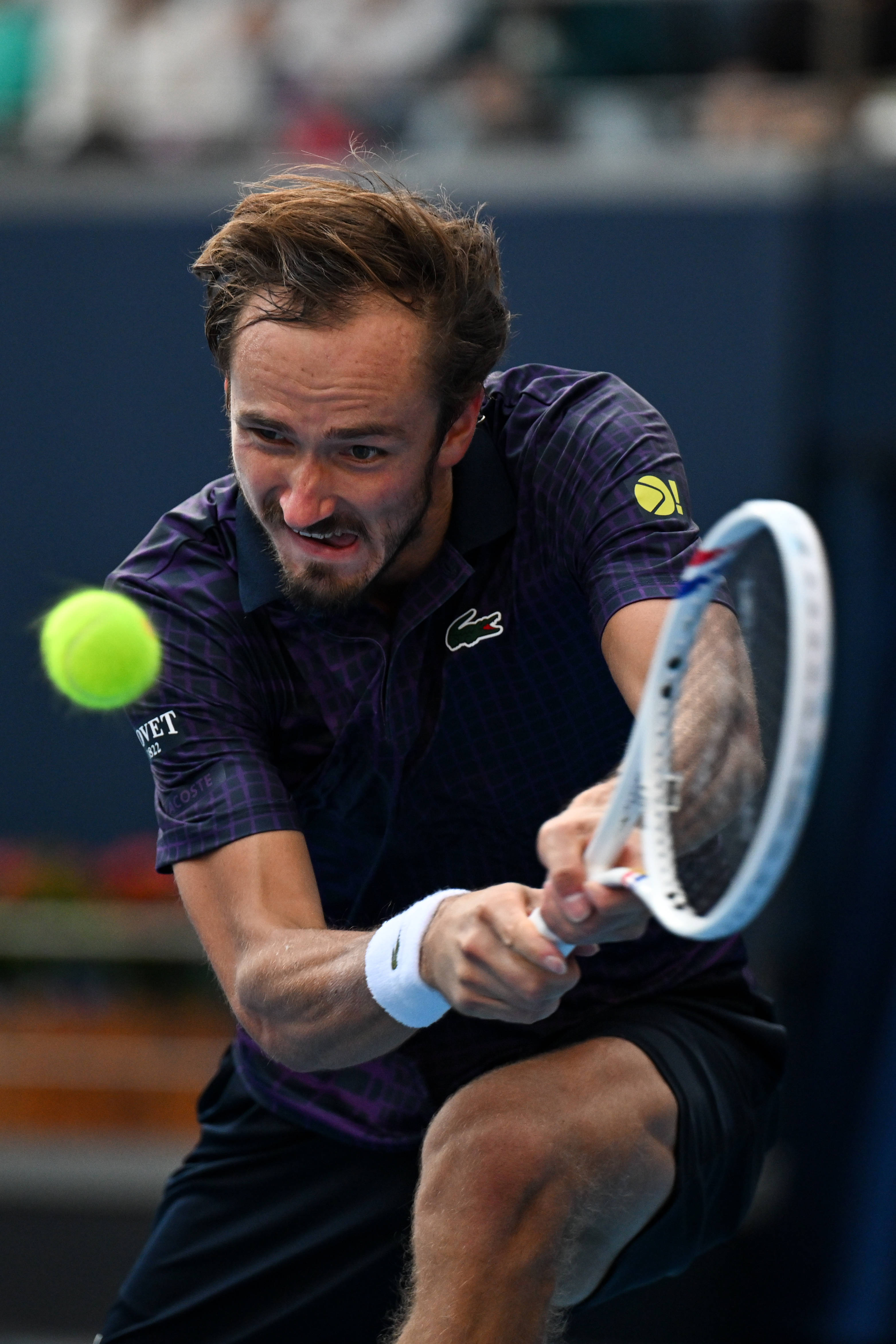 日本网球队碾压意大利网球队，梅德韦杰夫绝境逆转的简单介绍