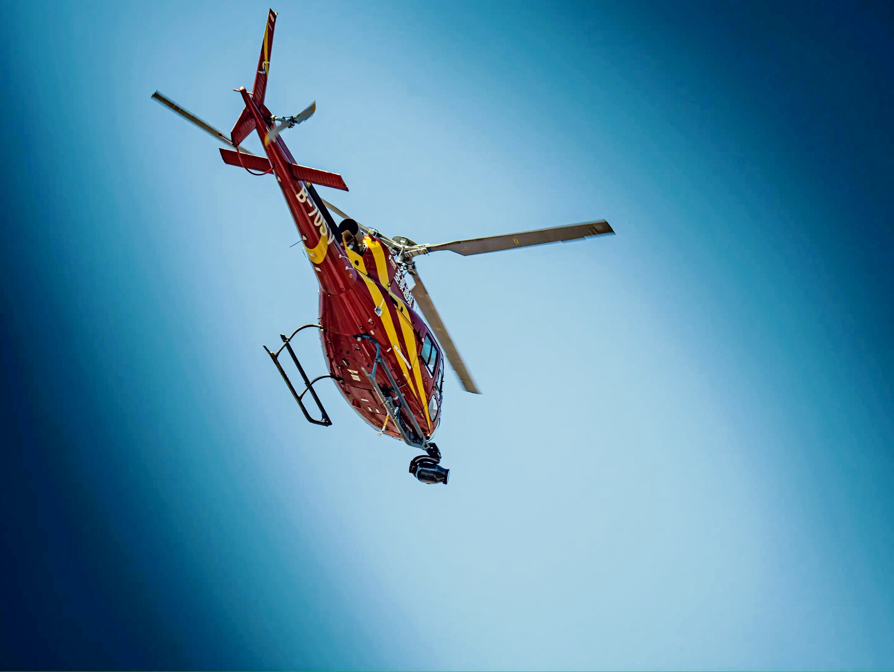 包含威廉姆斯逆转红牛二队,周冠宇统治全场的词条 包含威廉姆斯逆转红牛二队,周冠宇统治全场的词条