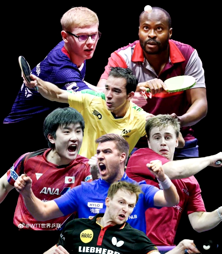 奥地利队横扫瑞典队，王皓惊艳四座的简单介绍