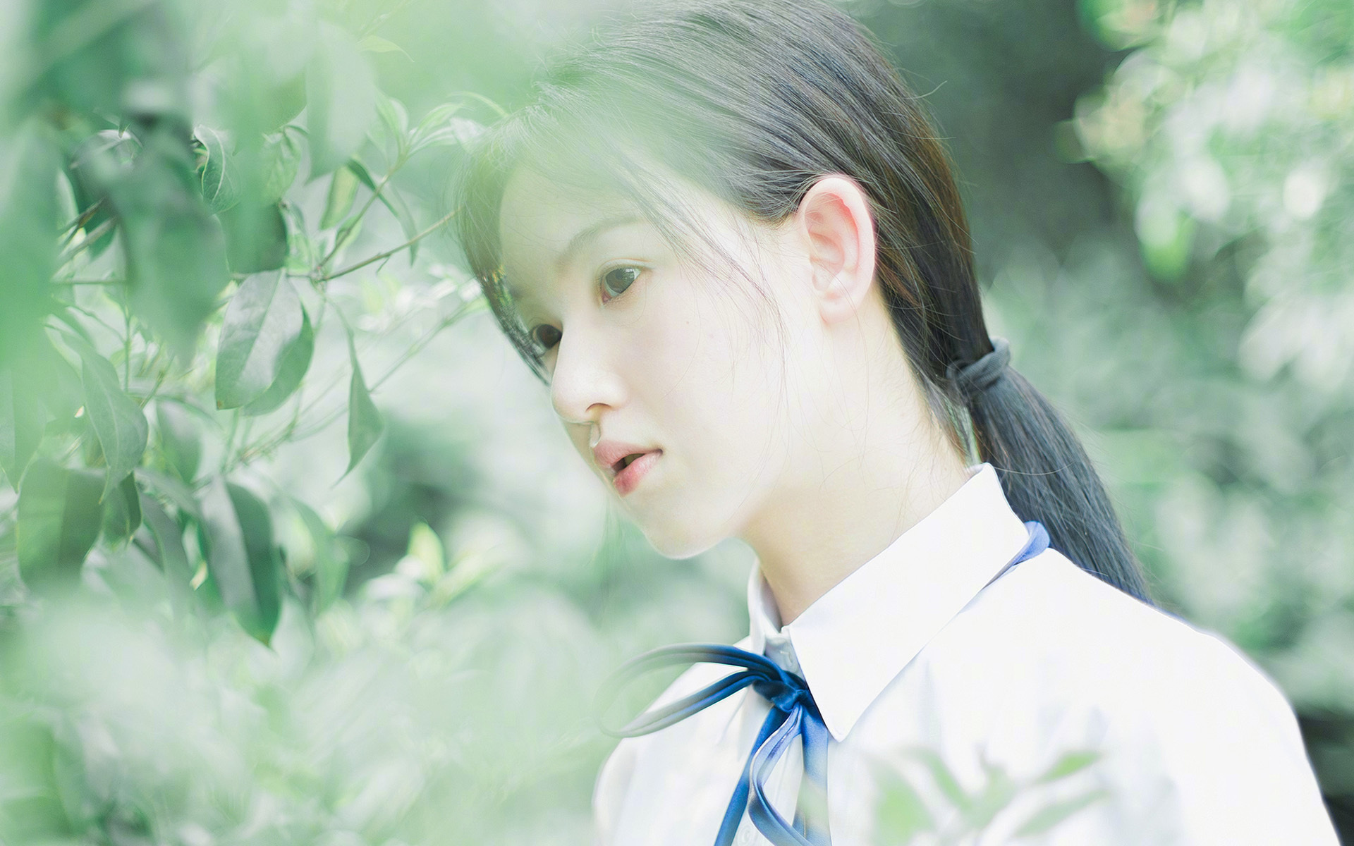 北非雄鹰展翅卡塔尔,德里赫特引领荷兰新节奏制霸克罗地亚