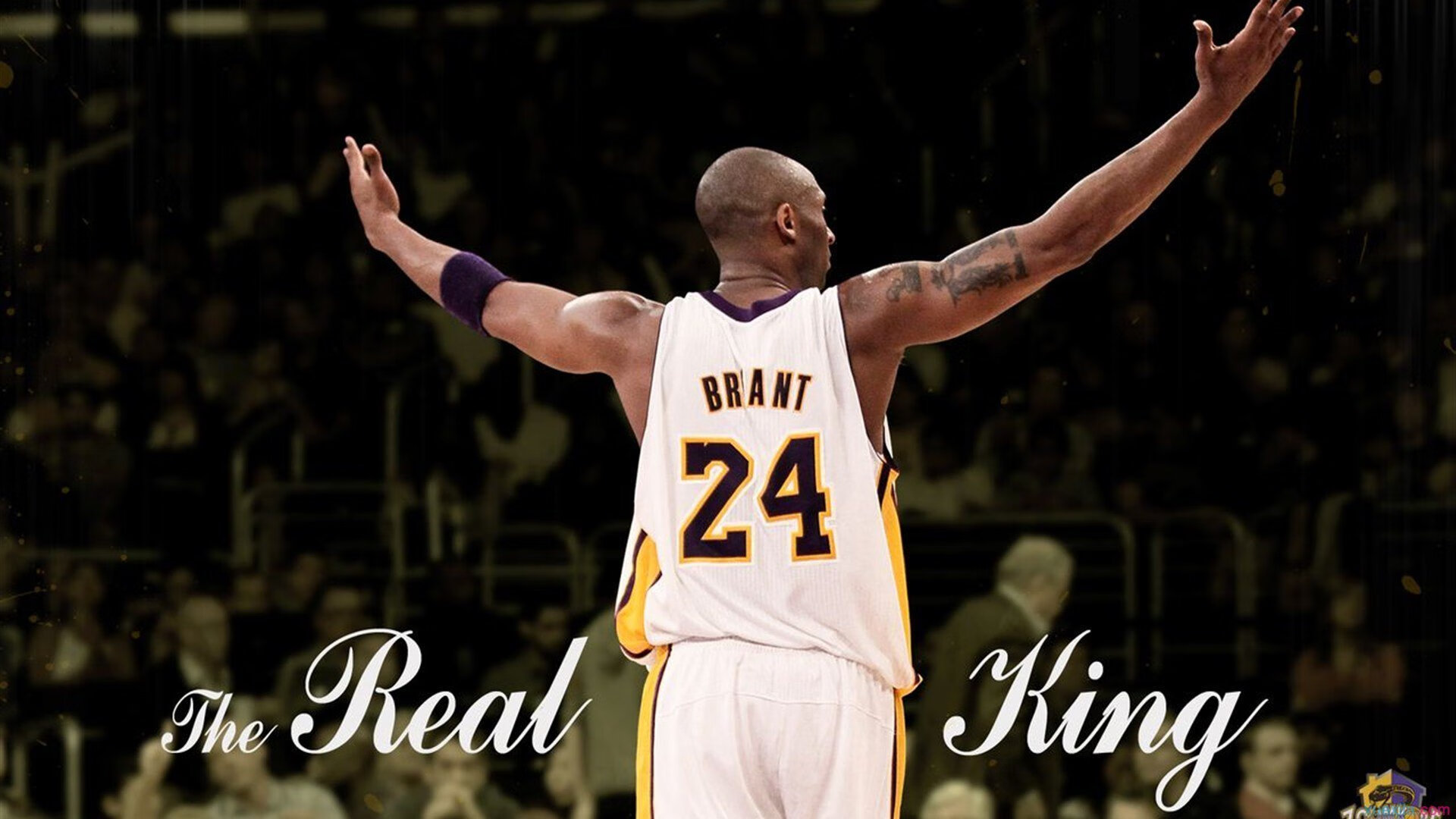 字母哥惊艳四座,新疆队击溃森林狼,跨界篮球的梦幻对决